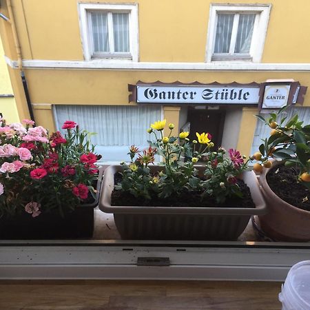 Homestay Waldshut-Tiengen Exterior photo